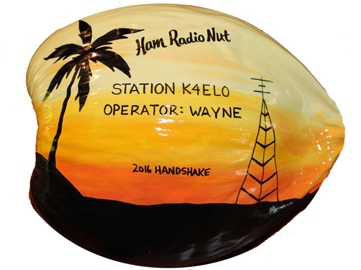 painted coconuts for sustainable keepsakes